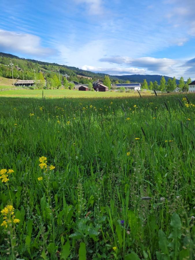 Friends & Family Apartment At Hafjell Alpinlandsby/Oyer Center Exterior foto