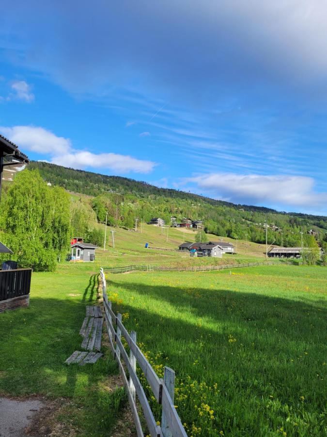Friends & Family Apartment At Hafjell Alpinlandsby/Oyer Center Exterior foto